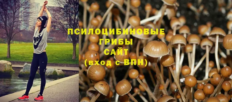 Что такое Златоуст COCAIN  Меф мяу мяу  KRAKEN ТОР  Канабис  АМФ 