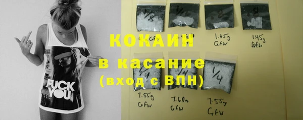 индика Заволжск