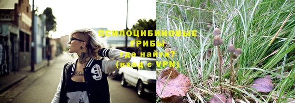 индика Заволжск