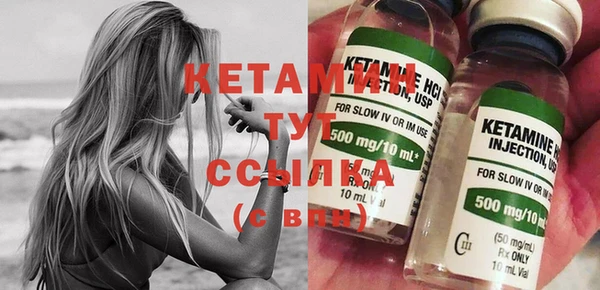 сатива Инта