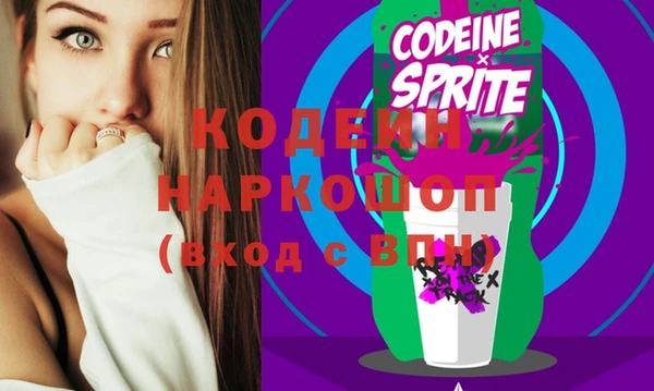 индика Заволжск