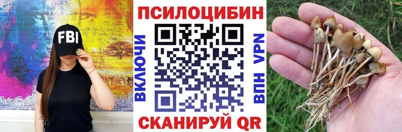 Псилоцибиновые грибы Psilocybe  Златоуст 