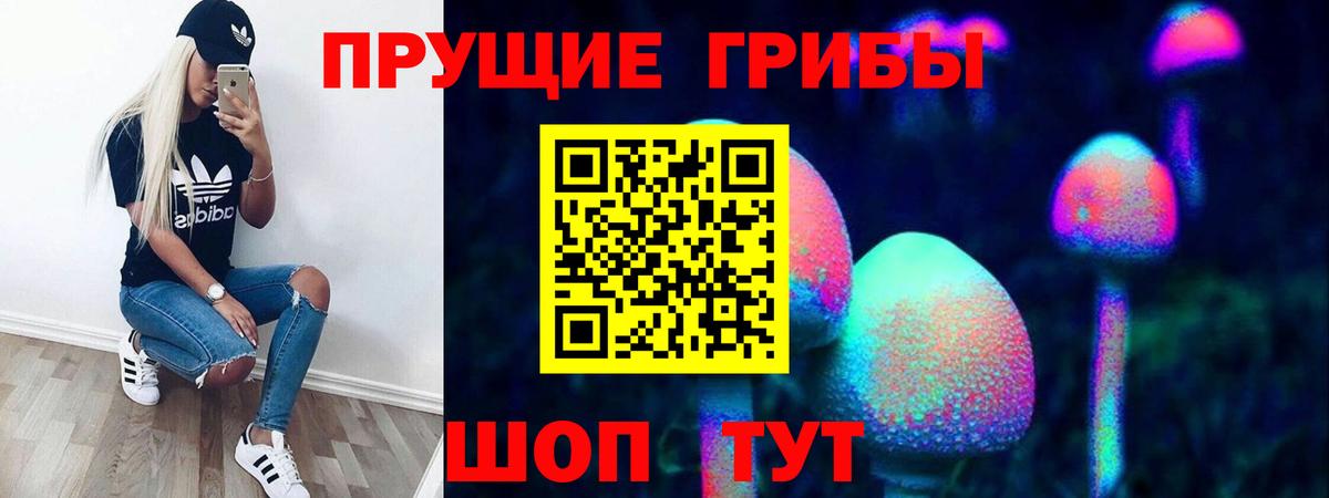 Псилоцибиновые грибы Cubensis  Вход с VPN  Псилоцибиновые грибы Psilocybe  Златоуст 